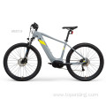 DDP Mountain E Bike Specialized